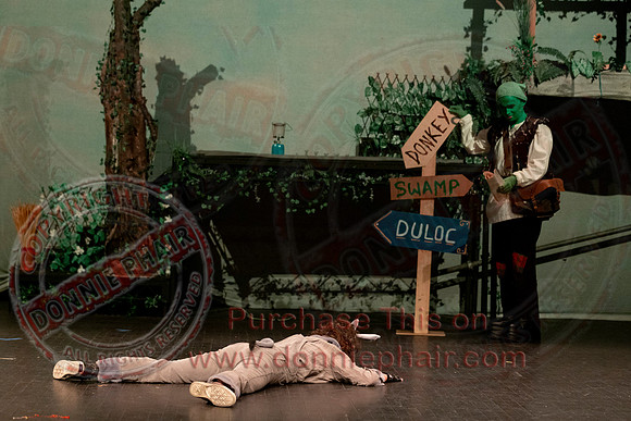 Shrek by FMT - Donnie Phair-78