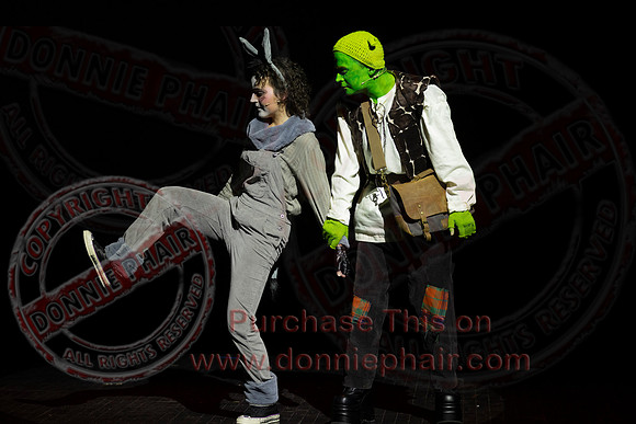 Shrek by FMT - Donnie Phair-206