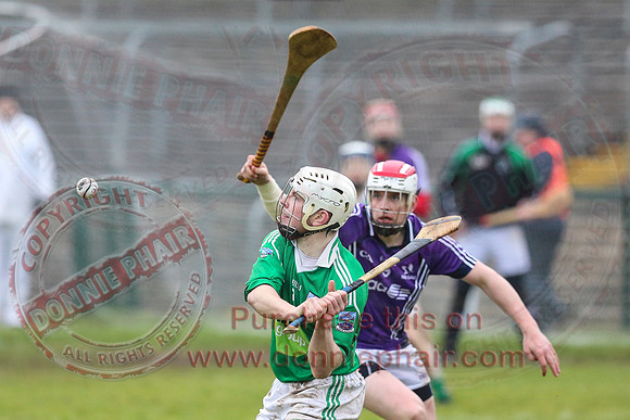 Fermanagh (1-16) V Fingal (3-13) in National Hurling League Division 3A