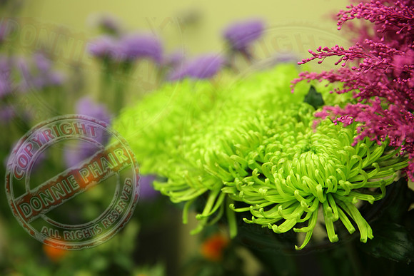 Irene's Flowers, Lisnaskea.