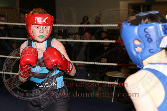 Erne Boxing Club Open Boxing Tournament