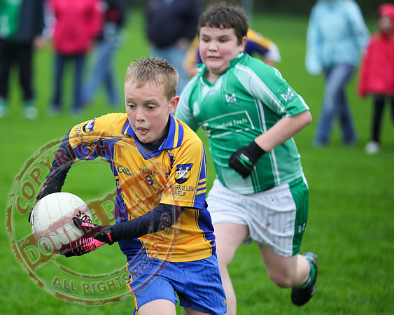 Roslea V Enniskillen Gaels in U12 GAA Football B Final.