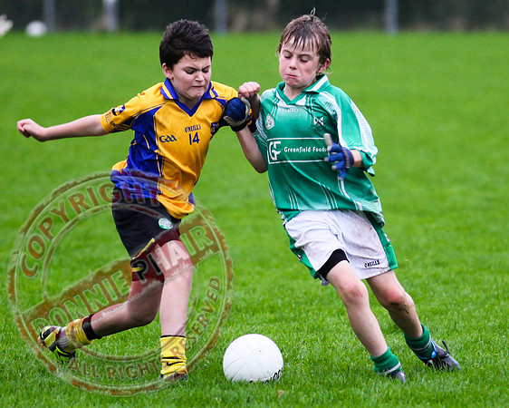 Roslea V Enniskillen Gaels in U12 GAA Football B Final.