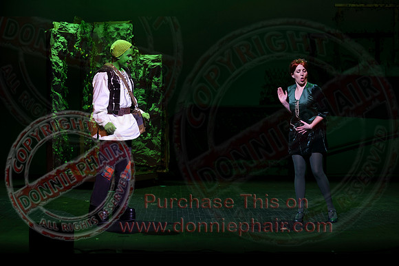 Shrek by FMT - Donnie Phair-408