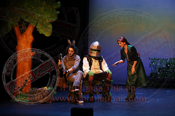 Shrek by FMT - Donnie Phair-294