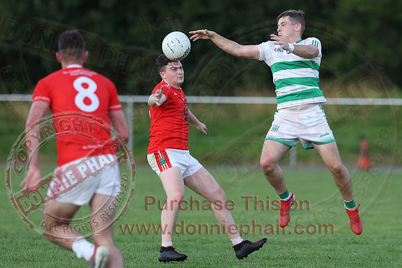 Teemore (3-15) V Newtownbutler (1-06) in Senior GAA Football Division Two-11