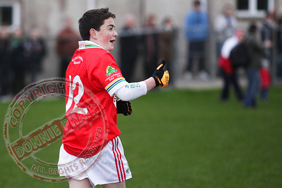 Newtownbutler V Coa in Minor GAA Division 5 Final held in Brookeborough.