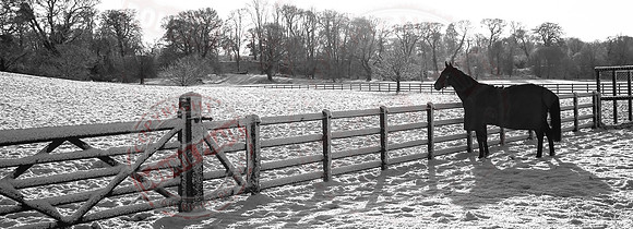 Colebrooke Estate in Winter