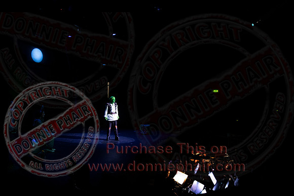 Shrek by FMT - Donnie Phair-323
