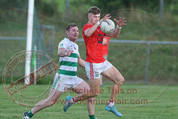 Teemore (3-15) V Newtownbutler (1-06) in Senior GAA Football Division Two-10