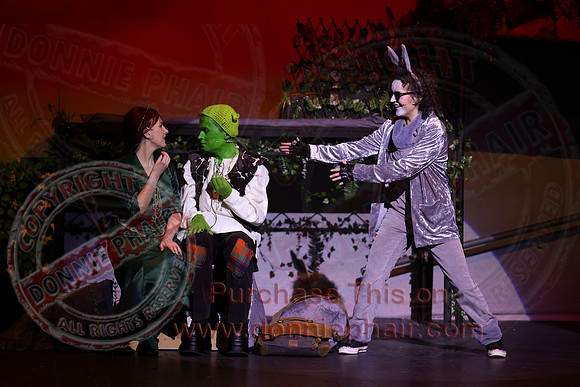 Shrek by FMT - Donnie Phair-468
