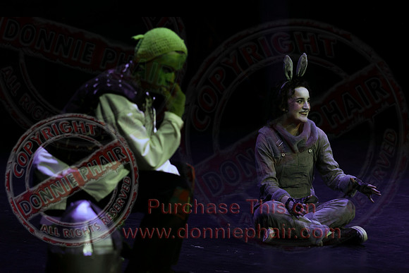 Shrek by FMT - Donnie Phair-308