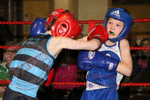 Erne Boxing Club Open Boxing Tournament