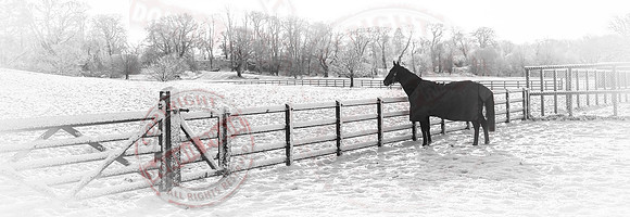 Colebrooke Estate in Winter