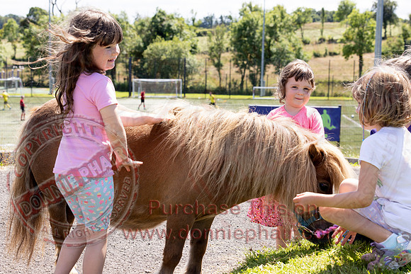 Lady of the Lake - Pet Show-5