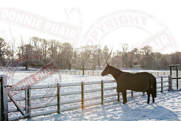 Colebrooke Estate in Winter