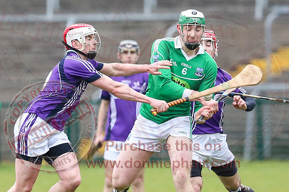 Fermanagh (1-16) V Fingal (3-13) in National Hurling League Division 3A