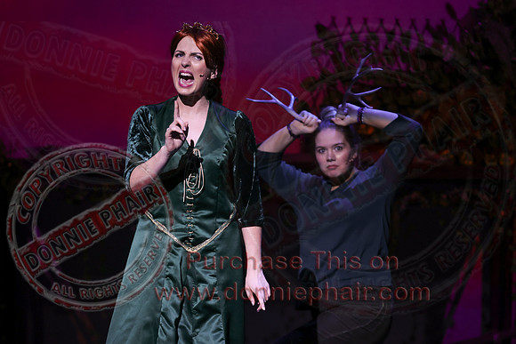 Shrek by FMT - Donnie Phair-334