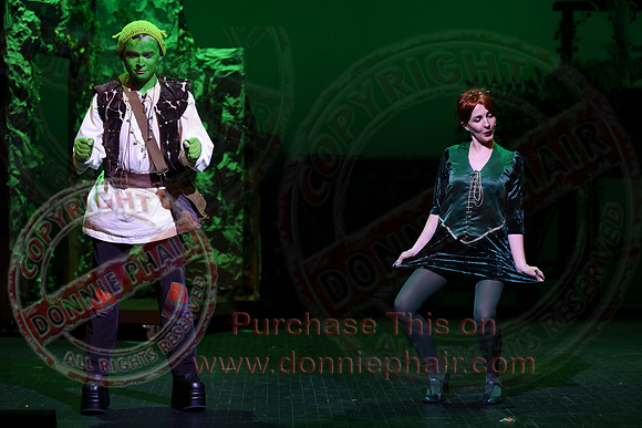 Shrek by FMT - Donnie Phair-411