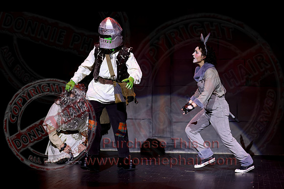 Shrek by FMT - Donnie Phair-208