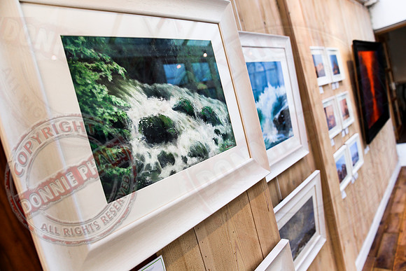 ArtByNorthWest in Devenish Gallery.