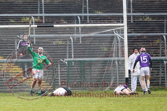Fermanagh (1-16) V Fingal (3-13) in National Hurling League Division 3A