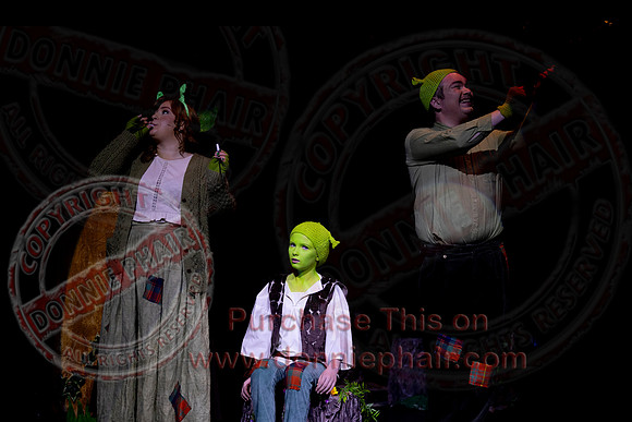 Shrek by FMT - Donnie Phair-21