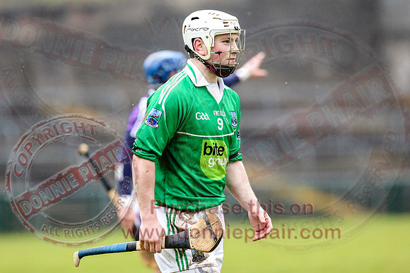 Fermanagh (1-16) V Fingal (3-13) in National Hurling League Division 3A