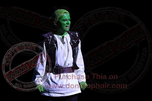 Shrek by FMT - Donnie Phair-321