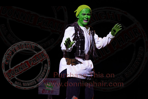 Shrek by FMT - Donnie Phair-27