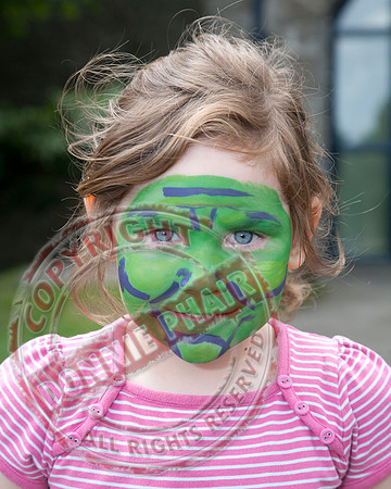 Crom Castle Open Day.