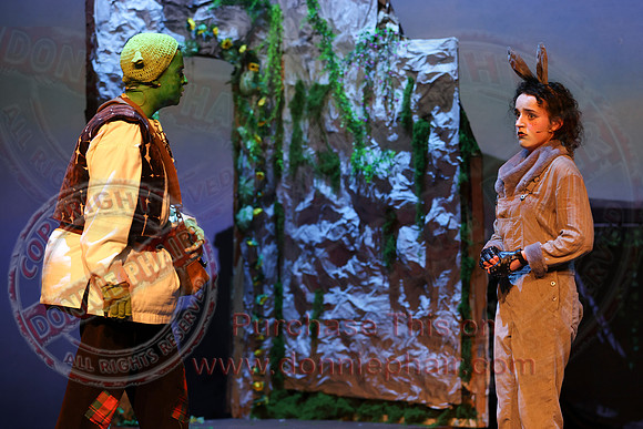 Shrek by FMT - Donnie Phair-519