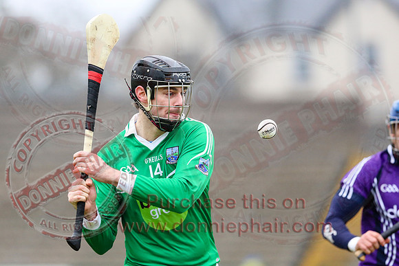 Fermanagh (1-16) V Fingal (3-13) in National Hurling League Division 3A