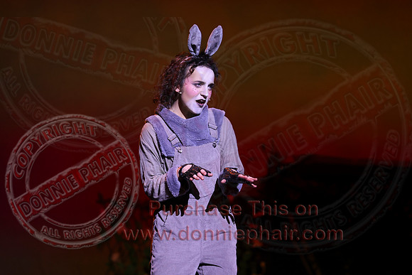 Shrek by FMT - Donnie Phair-455