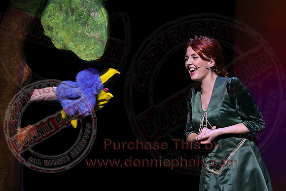 Shrek by FMT - Donnie Phair-331
