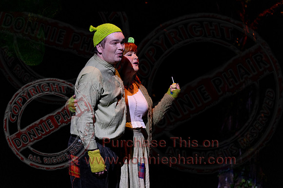 Shrek by FMT - Donnie Phair-22