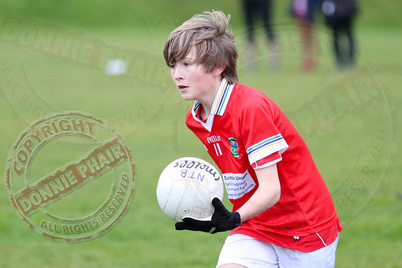 Dundas Shield GAA Tournament for U12 in Lisnaskea.