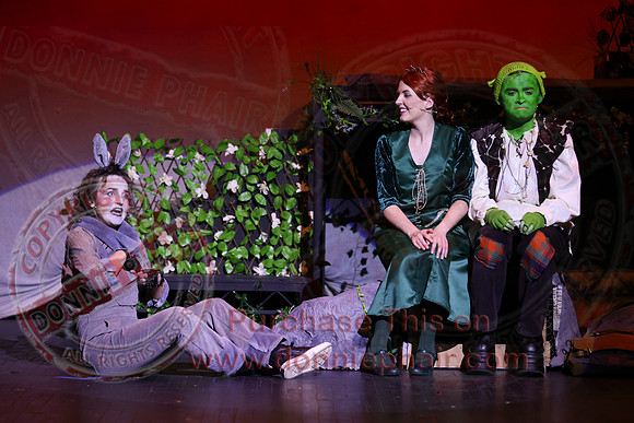 Shrek by FMT - Donnie Phair-486