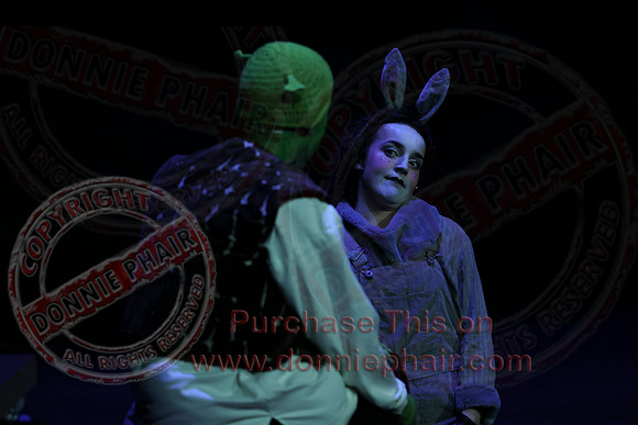 Shrek by FMT - Donnie Phair-311