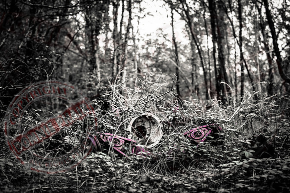 Front Axle lies Overgrown.