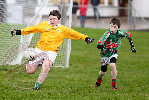 Dundas Shield GAA Tournament for U12 in Lisnaskea.
