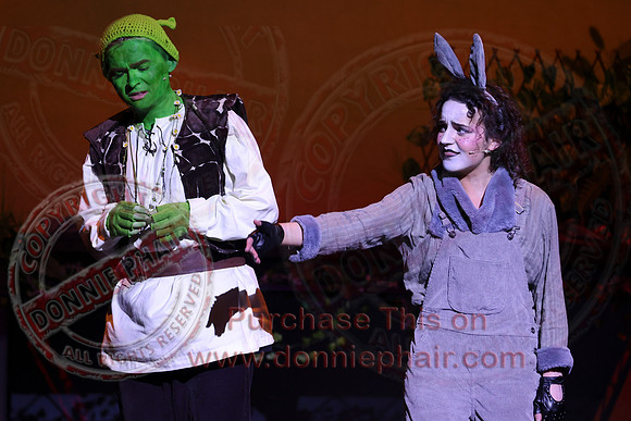 Shrek by FMT - Donnie Phair-490
