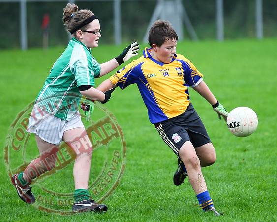 Roslea V Enniskillen Gaels in U12 GAA Football B Final.