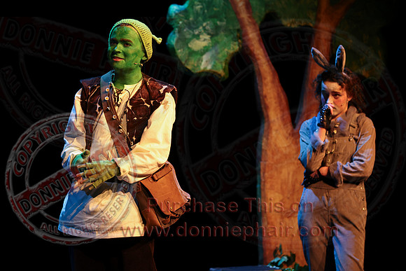 Shrek by FMT - Donnie Phair-366