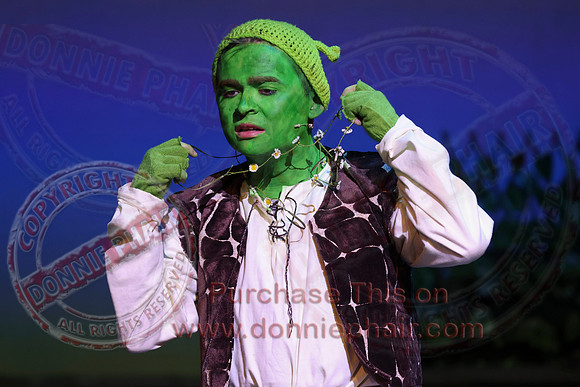 Shrek by FMT - Donnie Phair-527