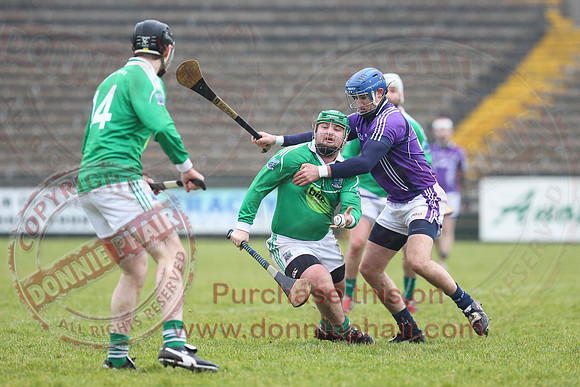 Fermanagh (1-16) V Fingal (3-13) in National Hurling League Division 3A