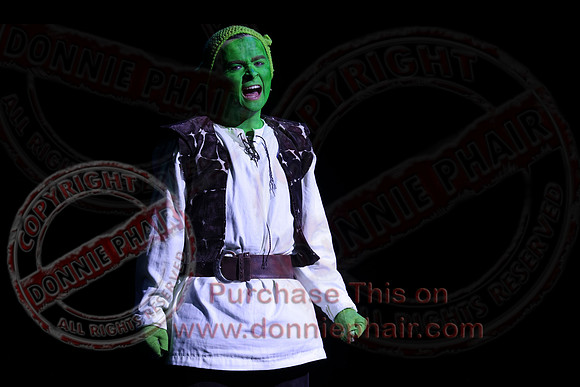 Shrek by FMT - Donnie Phair-317