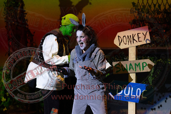 Shrek by FMT - Donnie Phair-109