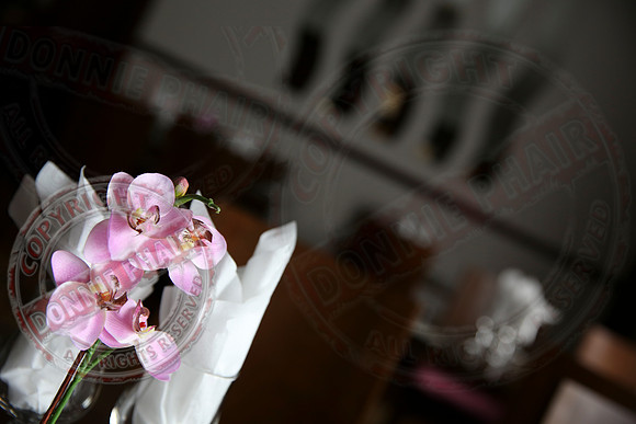 Donn Carragh Hotel and The Little Cupcake