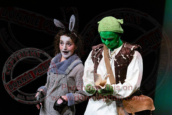 Shrek by FMT - Donnie Phair-103